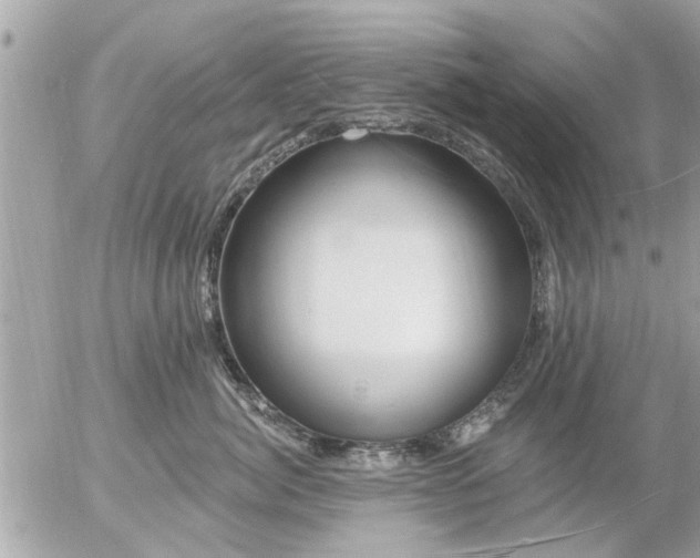 X0000055520764200508262205