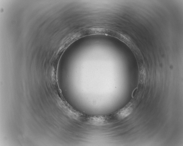 X0000055520765200508262205