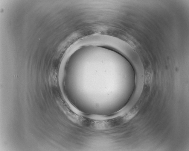 X0000055520766200508262205