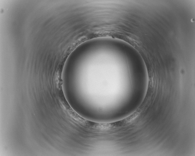 X0000055520767200508262205