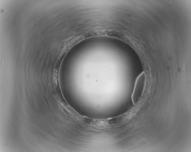 X0000055520768200508262205