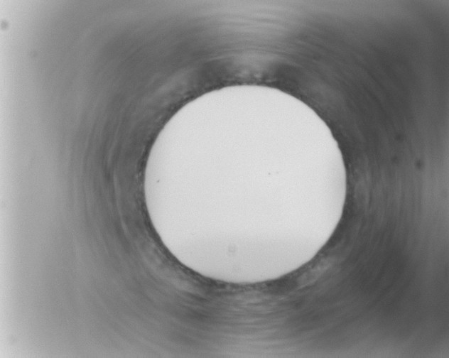 X0000055520769200508262205