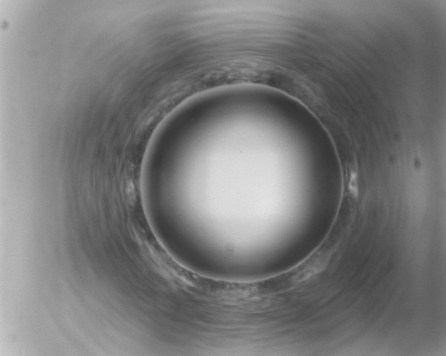 X0000055520771200508262204