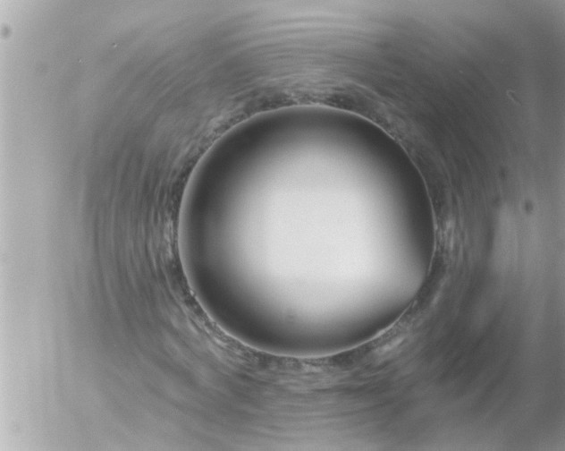 X0000055520772200508262204