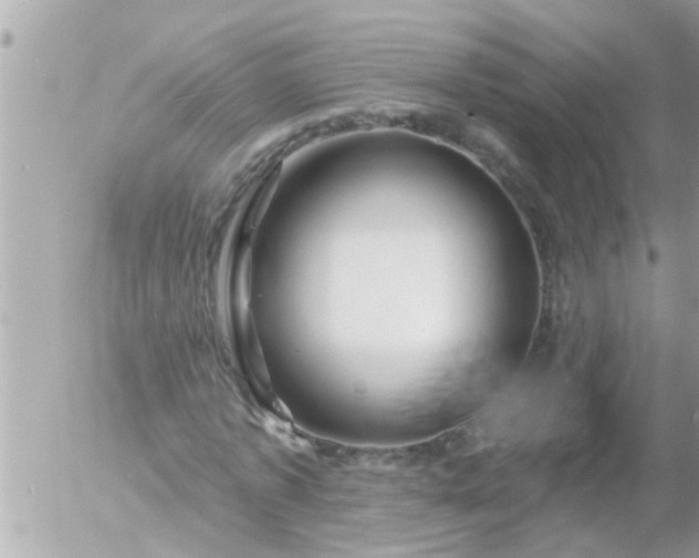 X0000055520773200508262204