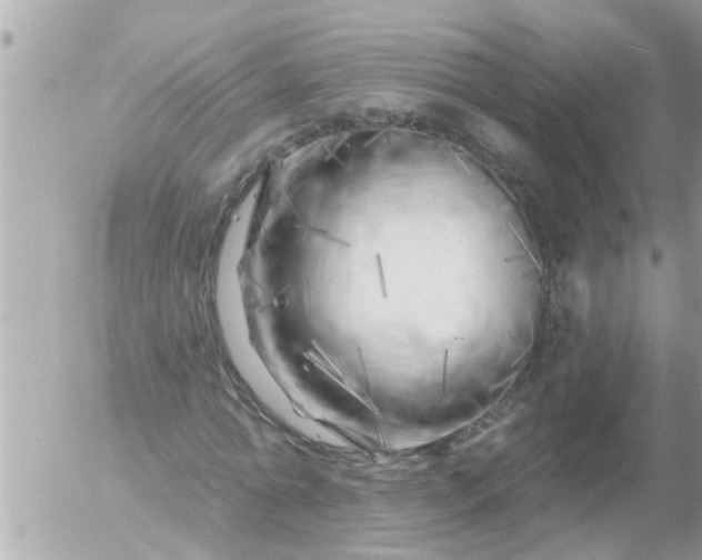 X0000055520774200508262204