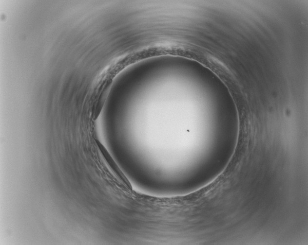 X0000055520776200508262204