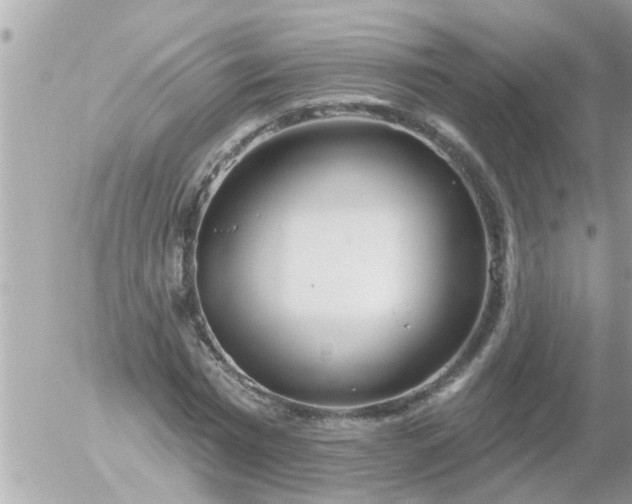 X0000055520777200508262204