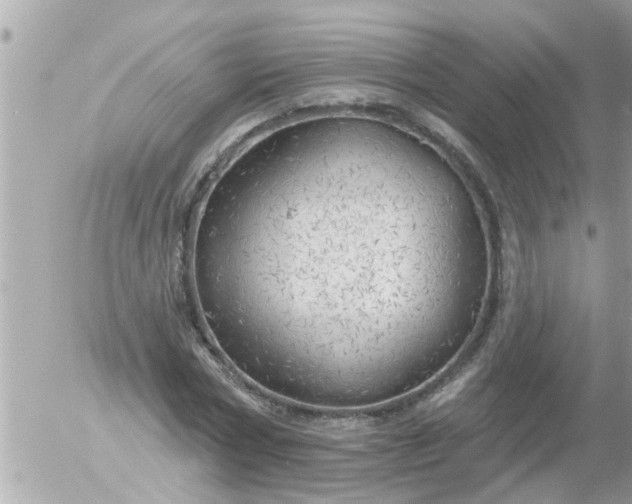 X0000055520778200508262204