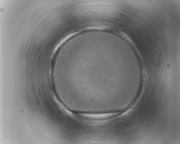 X0000055520779200508262204