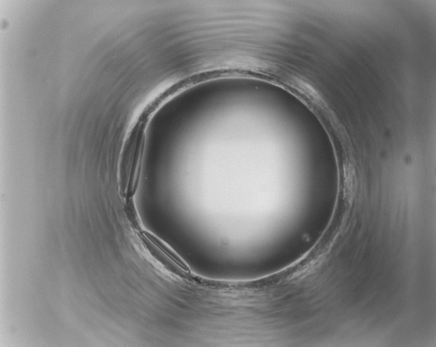 X0000055520780200508262204