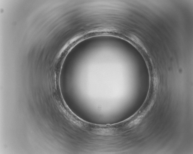 X0000055520781200508262204