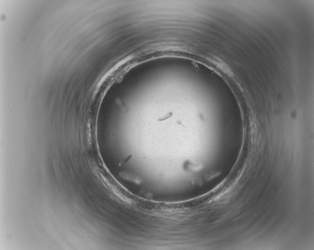 X0000055520782200508262204