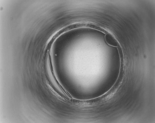 X0000055520783200508262204