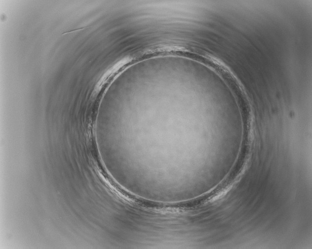 X0000055520785200508262204