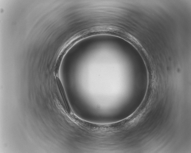 X0000055520786200508262204