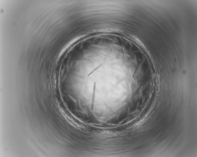 X0000055520787200508262204