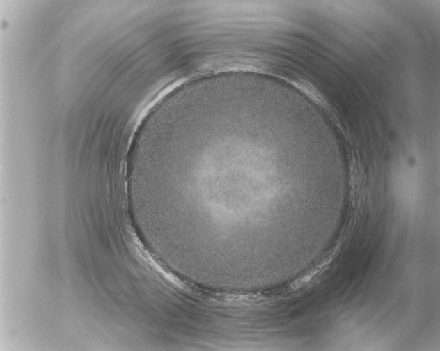 X0000055520790200508262204