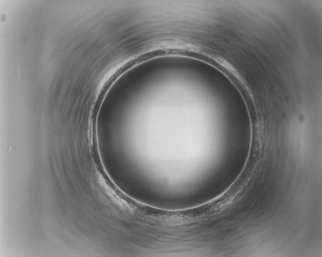 X0000055520791200508262204