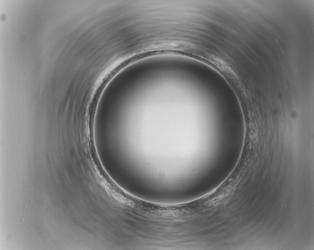 X0000055520792200508262204