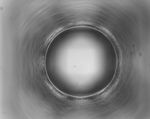 X0000055520793200508262204