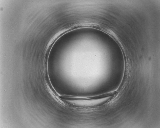 X0000055520795200508262204