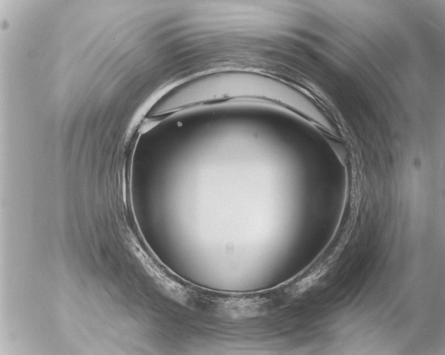 X0000055520796200508262204