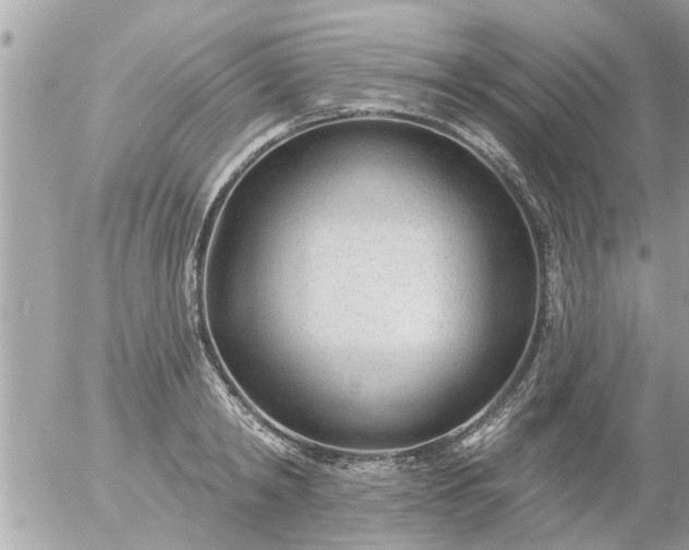 X0000055520798200508262204