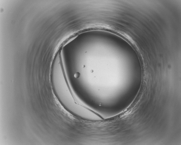 X0000055520799200508262204