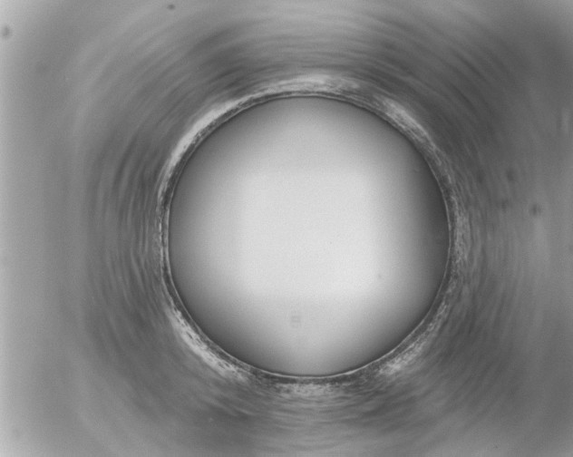 X0000055520800200508262204