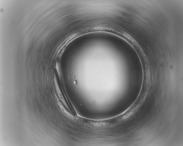 X0000055520801200508262204