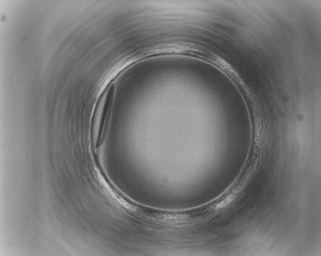 X0000055520802200508262204