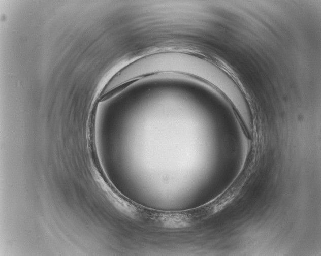 X0000055520803200508262204