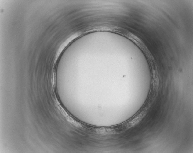 X0000055520804200508262204