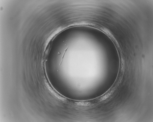 X0000055520805200508262204