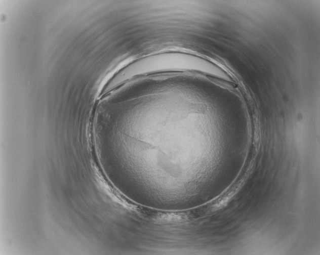 X0000055520806200508262204