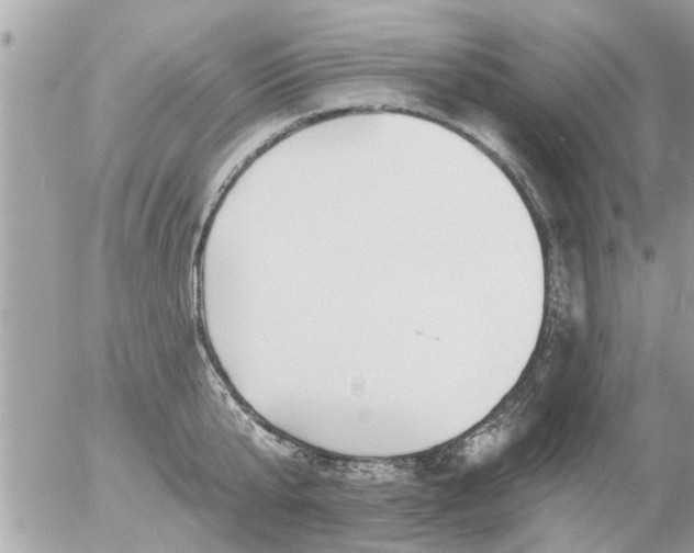 X0000055520807200508262204