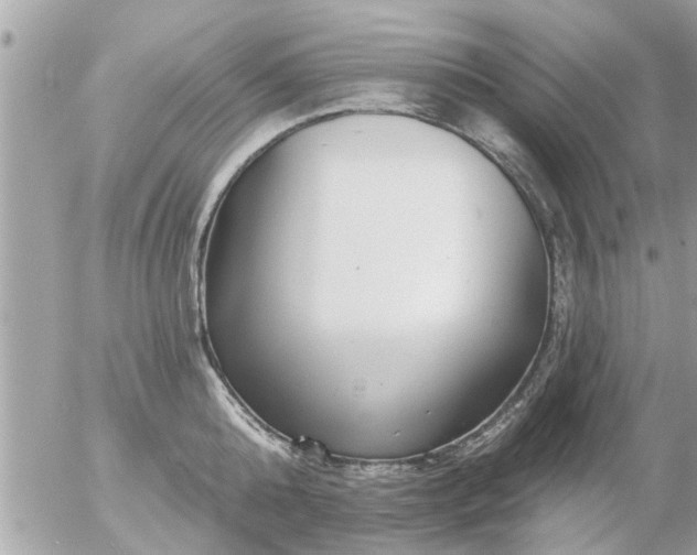 X0000055520808200508262204