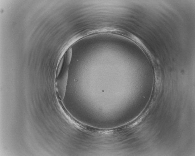 X0000055520810200508262204