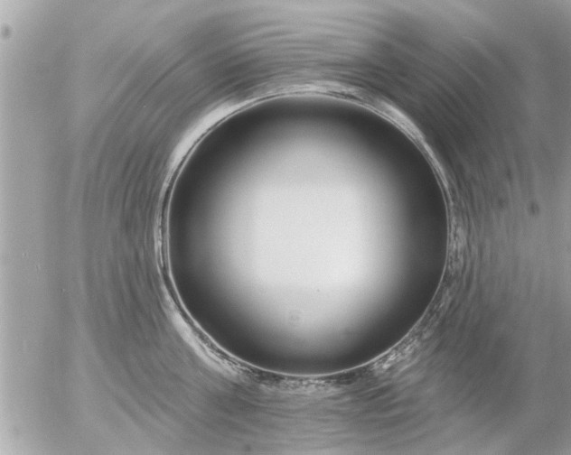 X0000055520811200508262204