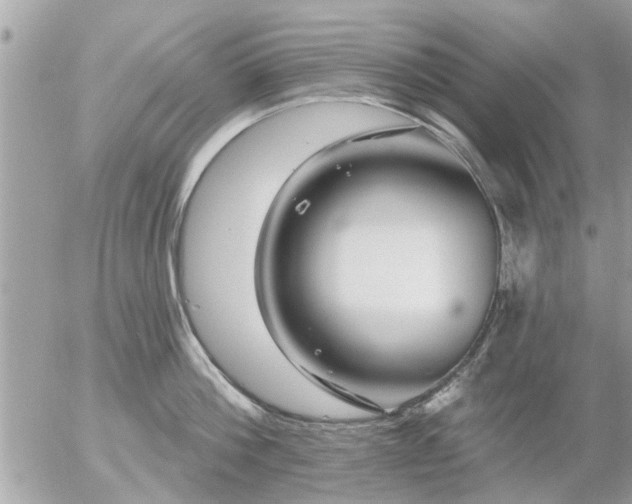 X0000055520812200508262204