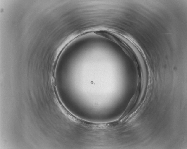 X0000055520813200508262204