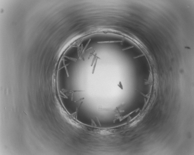 X0000055520814200508262204