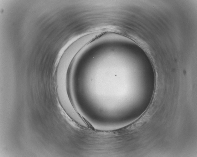 X0000055520816200508262204