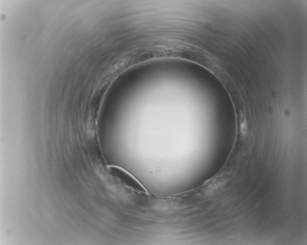 X0000055520819200508262203