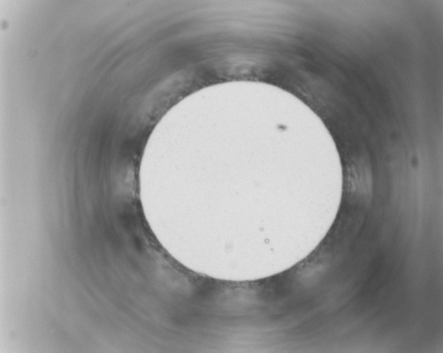 X0000055520820200508262203