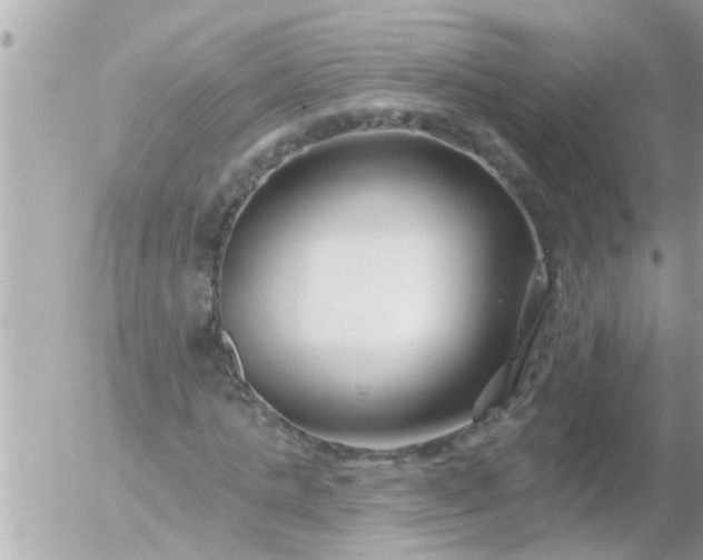 X0000055520821200508262203