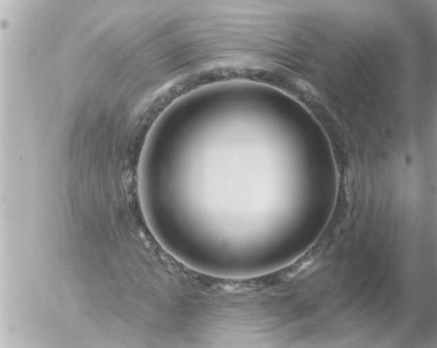 X0000055520822200508262203