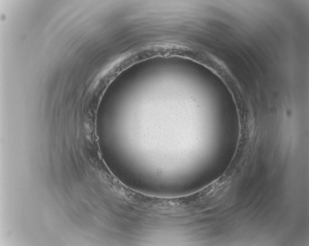 X0000055520823200508262203