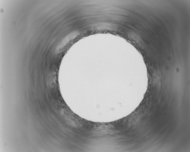 X0000055520824200508262203